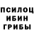 Псилоцибиновые грибы прущие грибы Masha Lugach