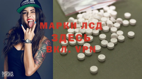 индика Алексин