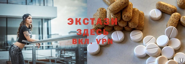 индика Алексин