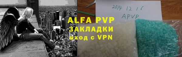 индика Алексин