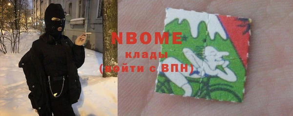 индика Алексин