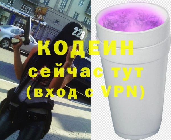индика Алексин