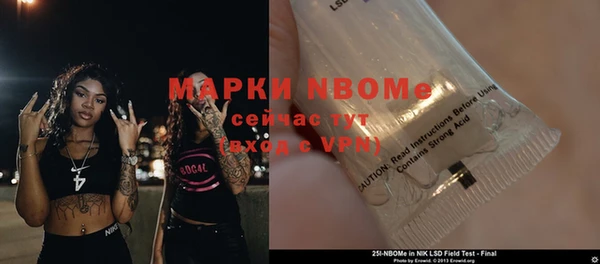 индика Алексин