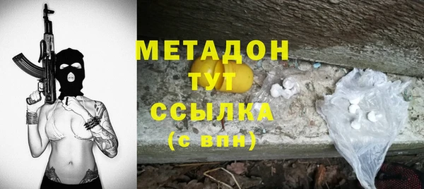 индика Алексин