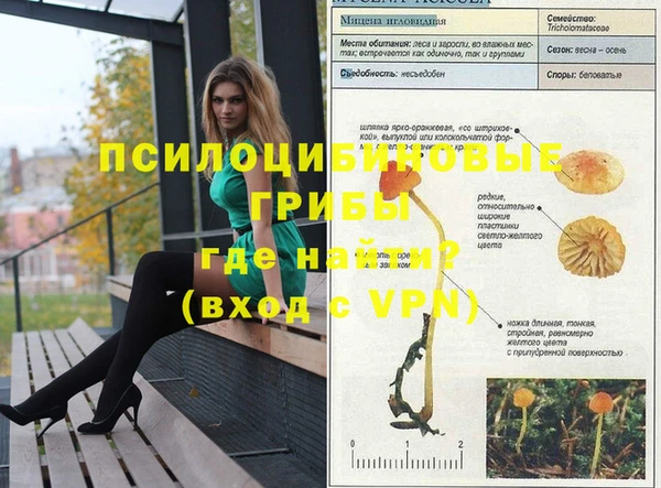 дмт Алзамай